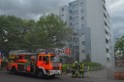 31.5.2016 Wieder Feuer 3 Koeln Porz Urbach Am Urbacher Wall